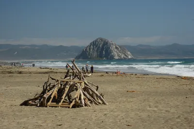 DSC_2507 (Large).JPG